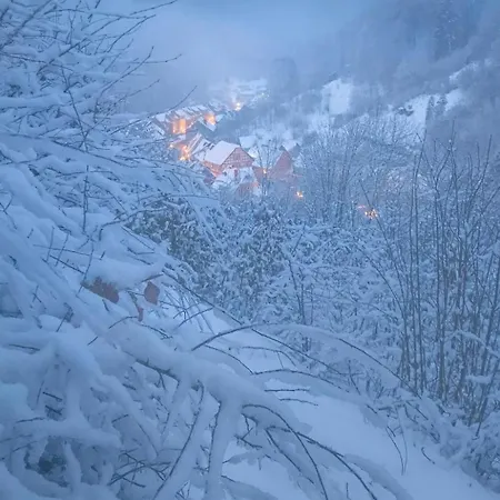 Altes Haus, Untere Etage * Walkenried